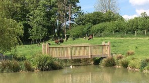 Field_and_bridge.jpg